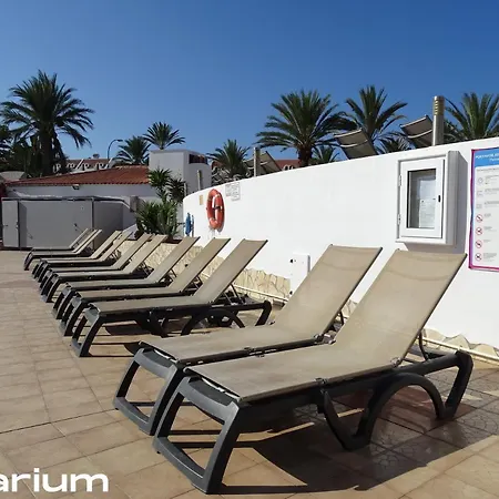 Apartamento Americas Luxury Low-cost With Terrace & Views Playa de las Américas